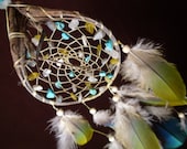 Custom Dream Catcher- Soft Earth- Devils Claw Dream Catcher- with Macaw Feathers