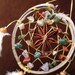 Custom Beaded Dream Catcher-Sacred Star Devils Claw Dream Catcher- you choose 3 stones