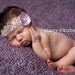Newborn Lace Halo Headband with Lavender Flower