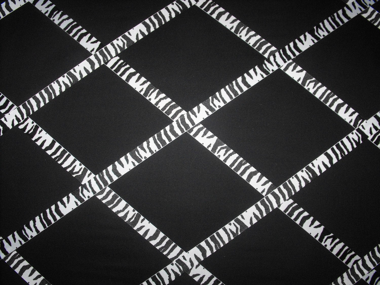 Zebra Black Background
