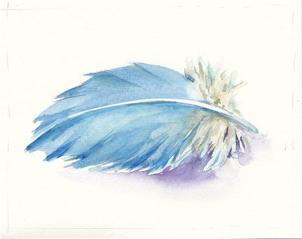 MACAW Feather watercolor card 5x7 inch O.R.I.G.I.N.A.L watercolor FREE SHiPPiNG