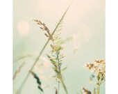 dreaming nature grass photo print - whimsical fine art photography, mint, green, blue, teal, golden, sun, field - 14x11 - IN STOCK - oohprettyshiny