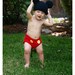 Mickey Mouse "Inspired"  Diaper Cover Crochet Pattern size newborn thru 12 months img