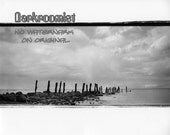 Forester Park Pier, 8x10 Silver Gelatin Print