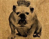 Bulldog with the Crown Digital Image, Download and Print, Great For Scrapbooking Image Transfer on Pillows, Tea Towels and more - Style. 153