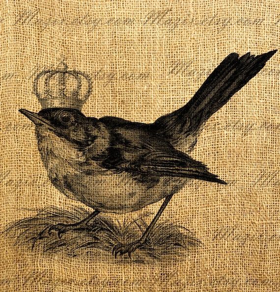 Vintage Sparrow Bird With The Crown Digital Image, Download and Print, Great For Image Transfer on Pillows, Tea Towels and more - Style. 259