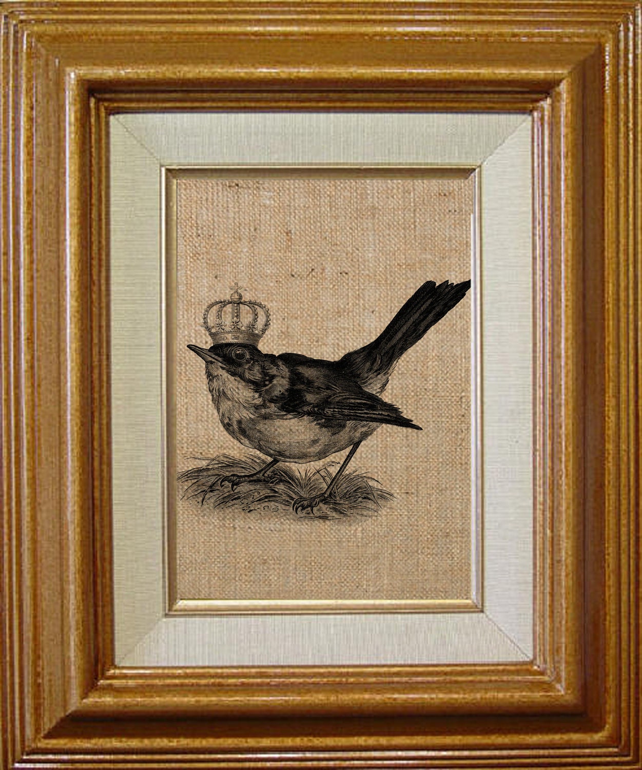 Vintage Sparrow Bird With The Crown Digital Image, Download and Print, Great For Image Transfer on Pillows, Tea Towels and more - Style. 259