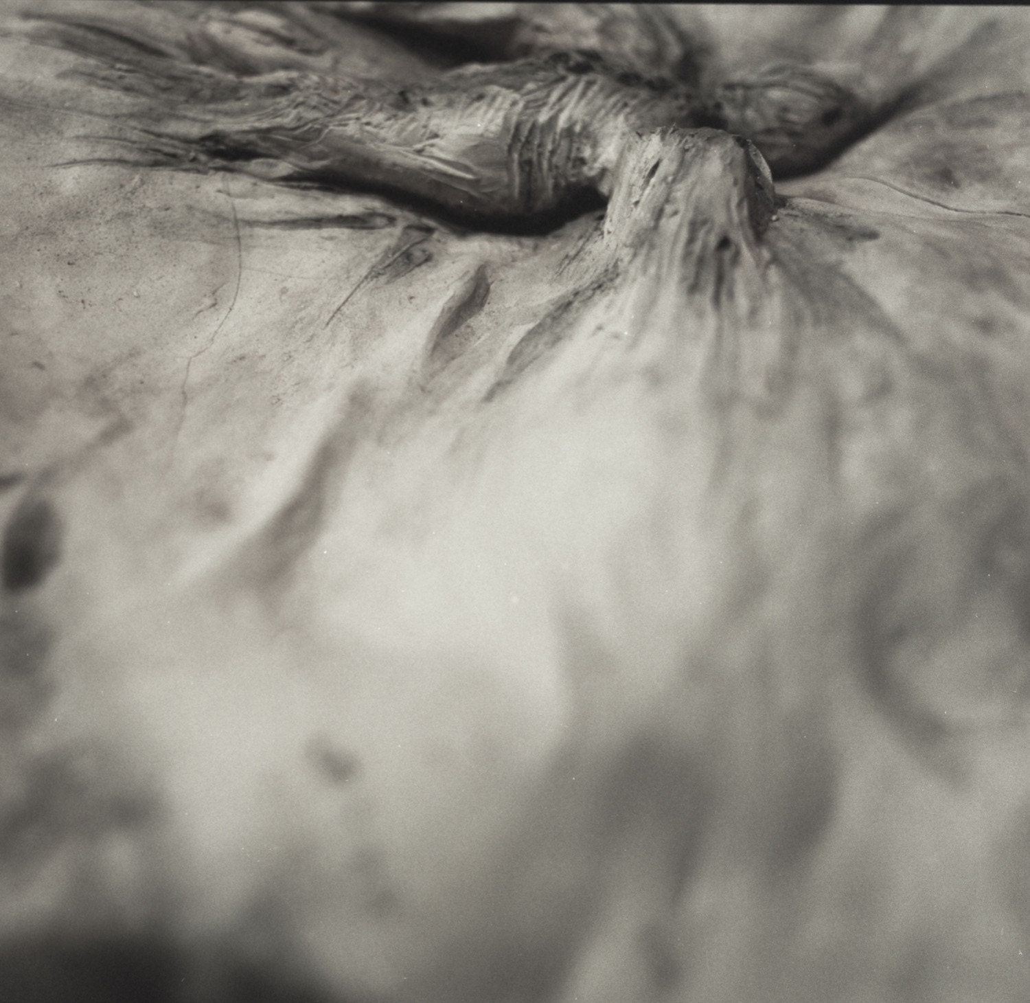 8x8 Insomnia by Melissa Humphries