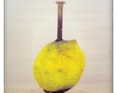 8.5"x11"  Untitled (lemons)