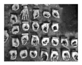 8.5"x11"  Burnt Offerings in Progress-- Ron House Kidney Transplant Donation