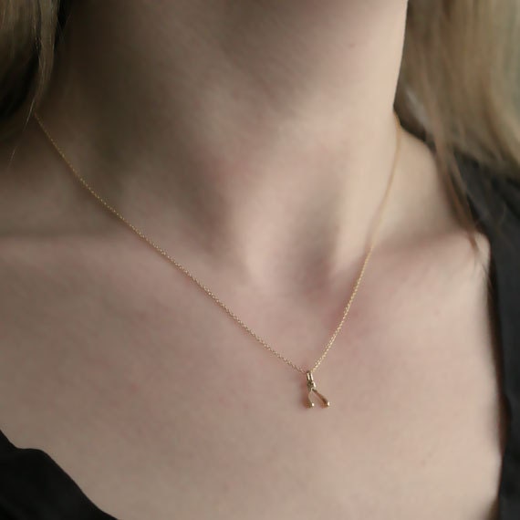Tiny Gold Lucky Wishbone Necklace / Mini Bronze Wish Pendant on Gold Filled Chain