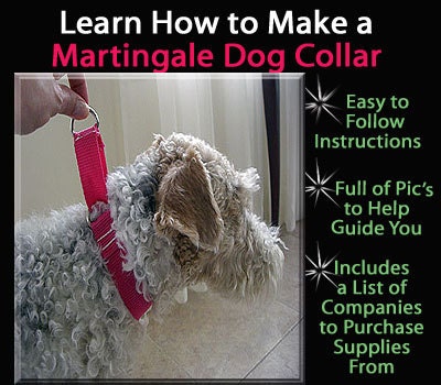 Martingale Dog Collar - Instructional Guide Teaching You How to Make Them