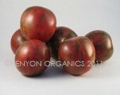 Organic Violet Jasper Heirloom Tomato Seed Rare