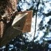 Stealth House, upcycled for songbirds