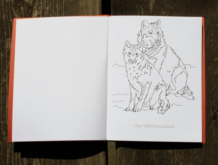 Canadian Wildlife - A Mini Colouring Book