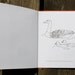 Canadian Wildlife - A Mini Colouring Book