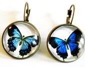 Little Earrings - Butterflys in love