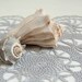 Gray Petals // Crocheted doily // Gift for the Home // Wall decor