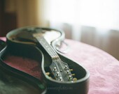 The Mandolin: Hasselblad print taken on Kodak Portra 400 film