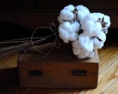 Beautiful Single Cotton Boll - Wired Stem - 18" - Natural Cotton - Raw Cotton - Natural Cotton Boll - DIY Cotton - Wedding
