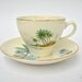 Tea party on the beach - tea set Swinnertons Staffordshire Coral Island