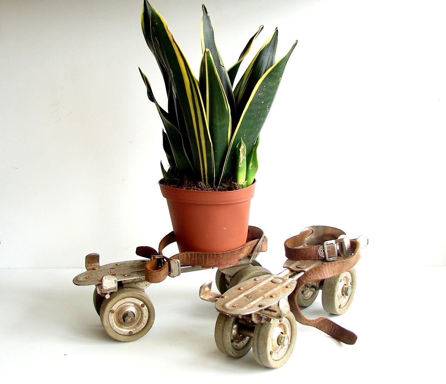 Vintage Adjustable Metal Roller Skates with Leather Straps - Collectible, Home Decor, Bookends, Plant Holder, and more