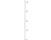 Ruler growth chart Vinyl Lettering