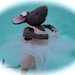 Dancing Grey Ballerina Mouse,  Rat, OOAK,Soft Sculpture By Grannancan