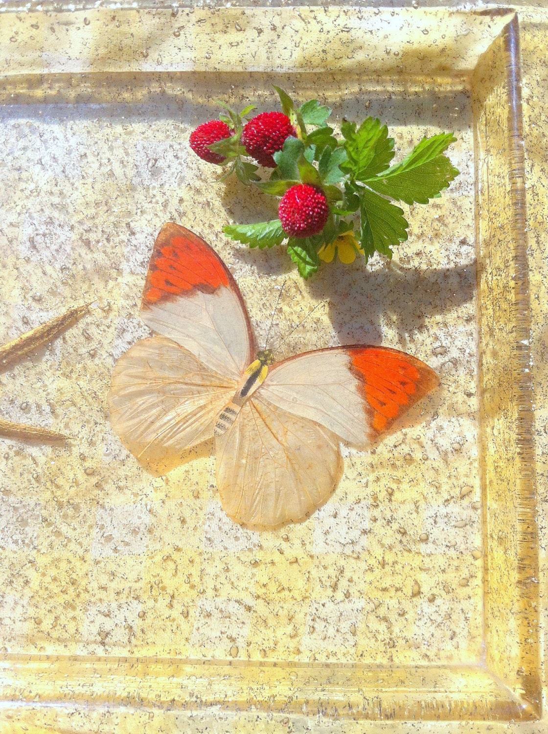 Resin Butterfly Tray Clear Sparkly Gold Flake 60s Decor