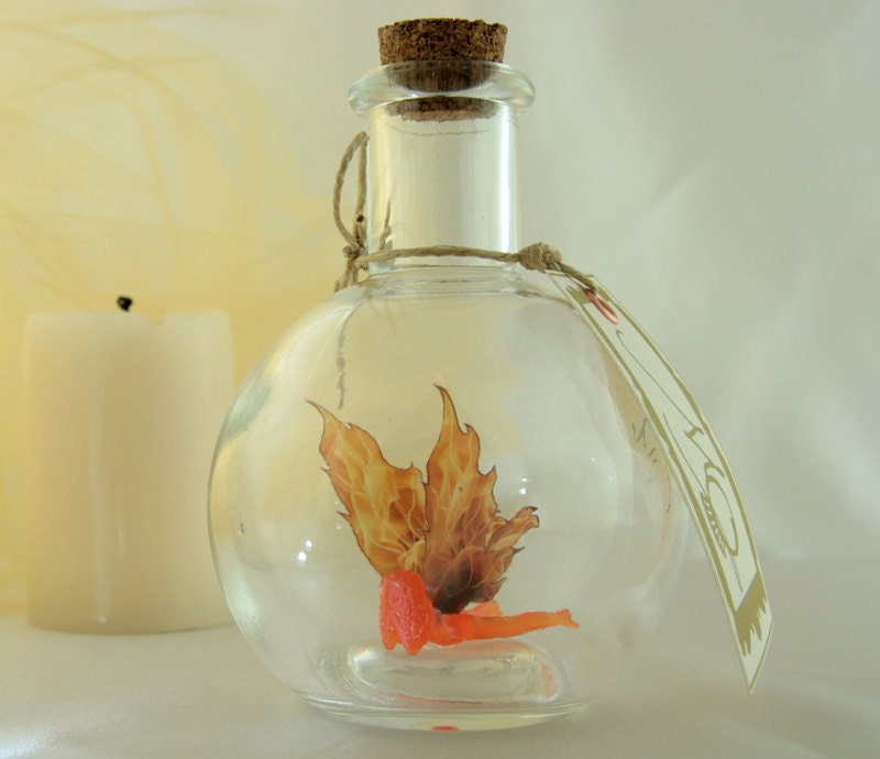 Fire Faerie - Fairy in a Bottle