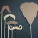 Party Props. Photo Booth Props. Wedding Photo Props. Photo Props. Props on a Stick - The Brown Bunch Pack