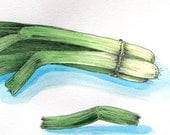 NOT A PRINT, Original Watercolor - Green Onion, watercolor and ink on paper, A4