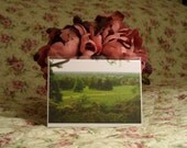 4 Trees, Dysart, Petersham Village, Richmond (Free UK P&P): GREETING CARD