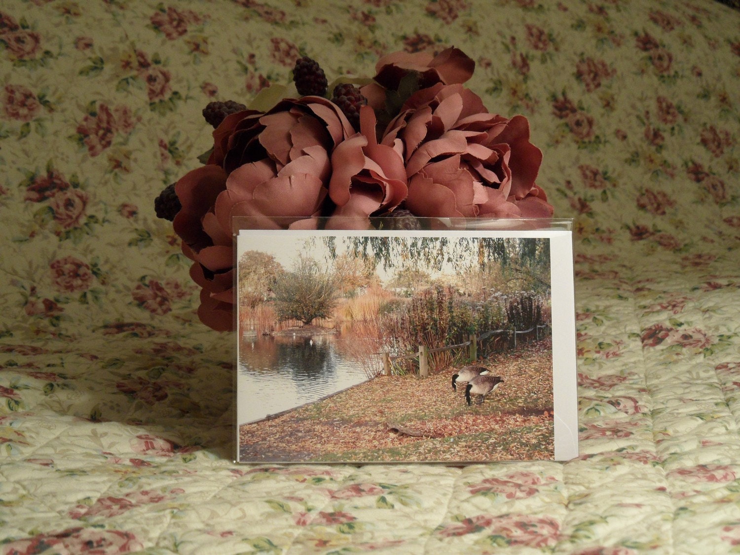 Canada Geese, Ham Common Pond, Richmond (Free UK P&P) GREETING CARD