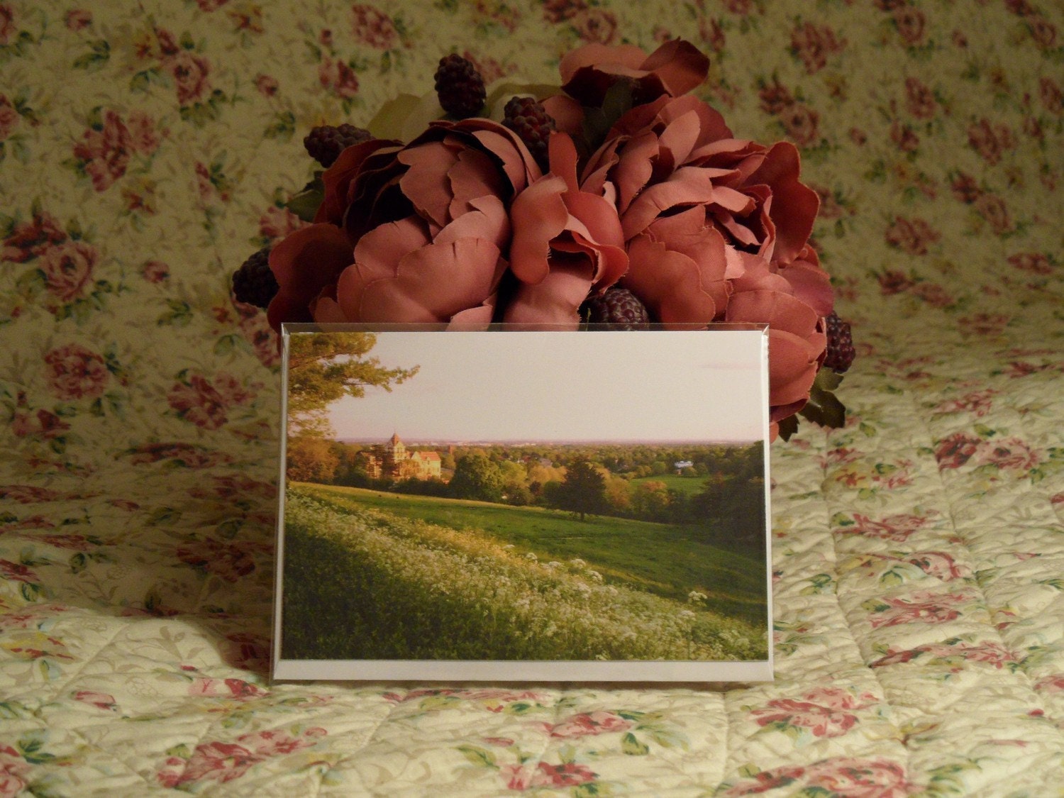 The Petersham Hotel & Meadows, Richmond Hill (Free UK post and packaging) GREETING CARD
