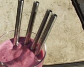 Stainless Steel Smoothie Straws - 4 Pack - Reusable and Eco Friendly - Lifetime Guarantee