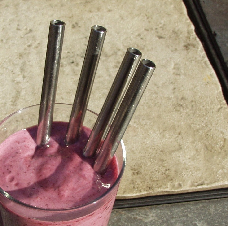 Stainless Steel Smoothie Straws - 4 Pack - Reusable and Eco Friendly - Lifetime Guarantee