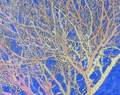 Tree Print From Original Drawing