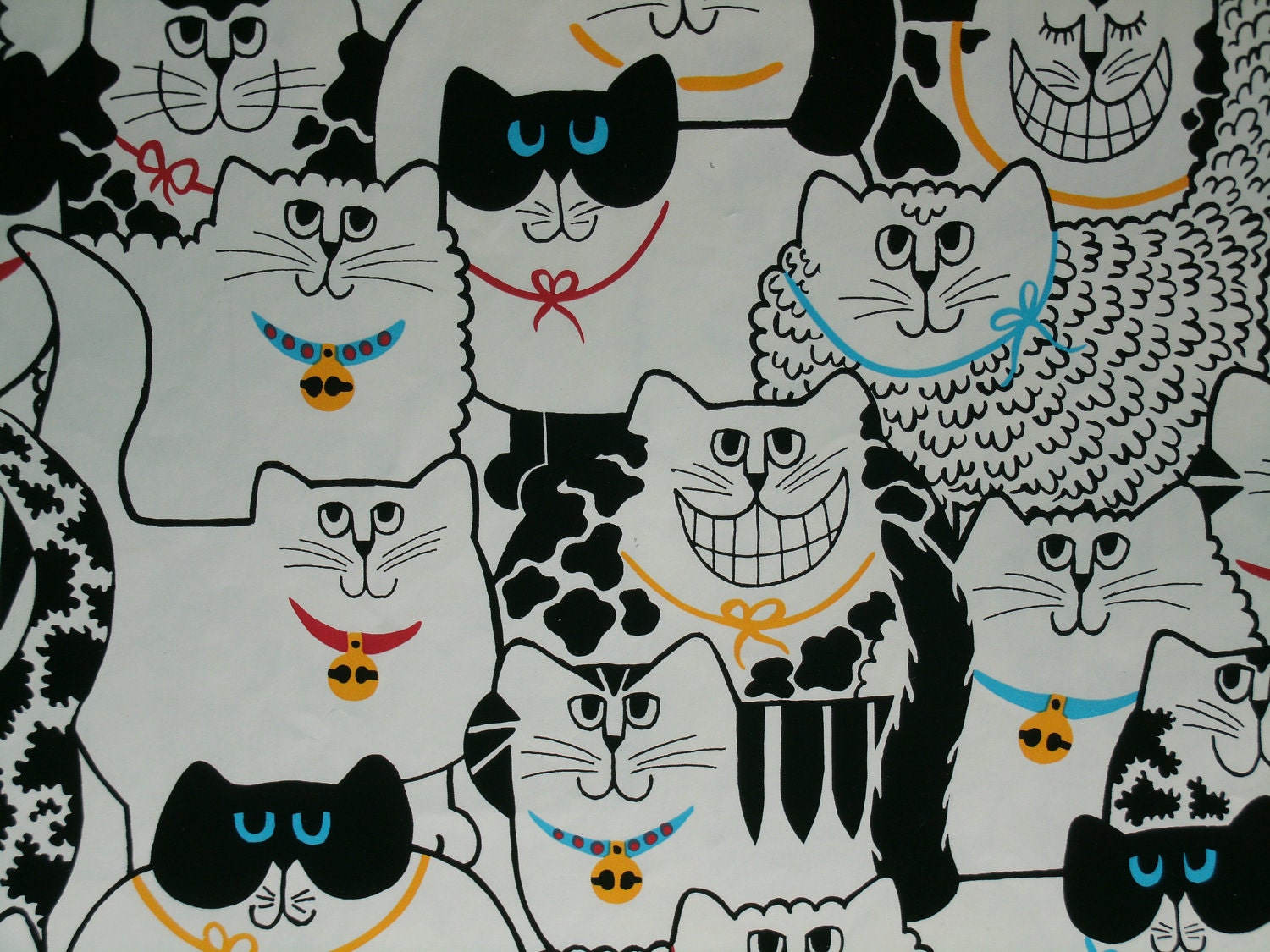 cat wrapping paper