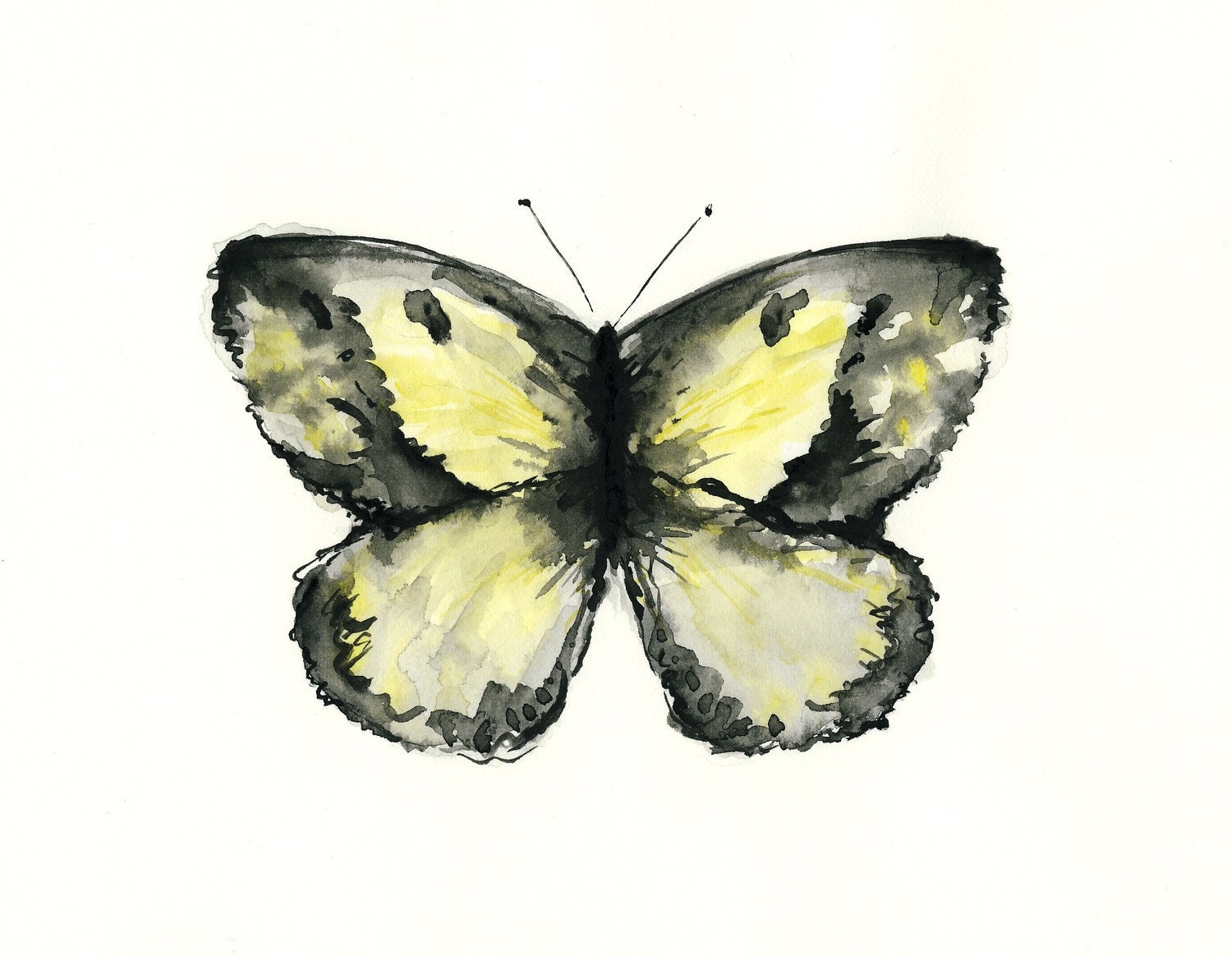 butterfly watercolor giclee print // YELLOW BUTTERFLY / 8X10 - home decor / art print