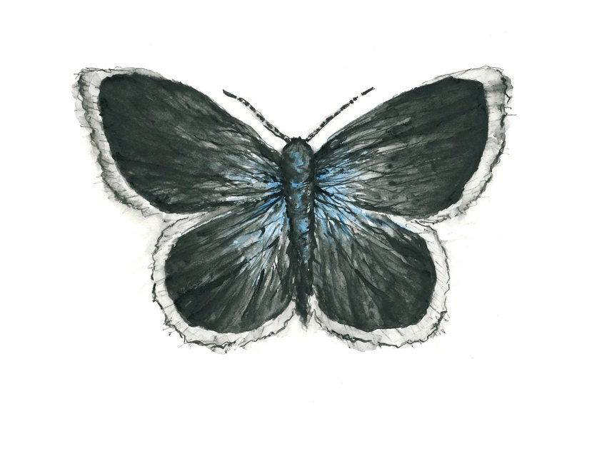 butterfly watercolor giclee print  // BLACK & BLUE  / 8 x 10 inches / art print / home decor
