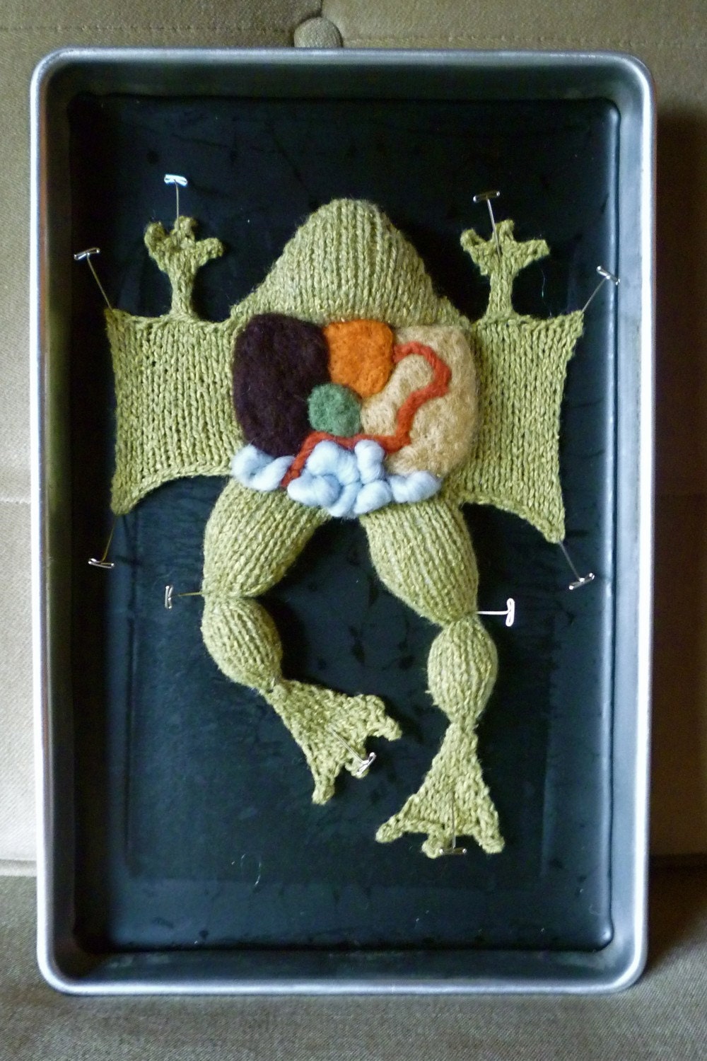 Knitting in Biology 101 in an actual dissection tray