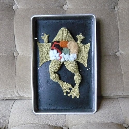 Knitting in Biology 101 in an actual dissection tray