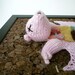 Knitted Fetal Pig on a Dark Cork Background