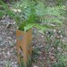 Western Cedar vase with glass insert-dragonflies and cattails painted motif