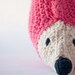 Instant Download -PDF CROCHET PATTERN - Hedgehog Pillow  - Permission to Sell Finished Items