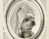 Portrait of Miss yorkie - dog portrait - bathroom  -  8x10 - print French dictionary book - Art Print
