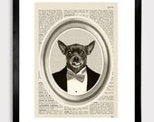 Chihuahua in Tuxedo Print - dog illustration 8x10" dictionary book - Art Print