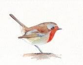 Robin painting - Print of watercolor painting- 5 by 7 print
