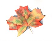 Autumn Leaf Painting - Maple leaf - L017-  ORIGINAL watercolor painting